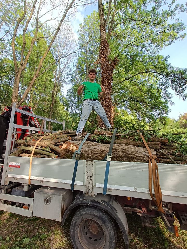 Abbattimento alberi in provincia di Padova e Venezia, Giardiniere Andrea Guglielmo