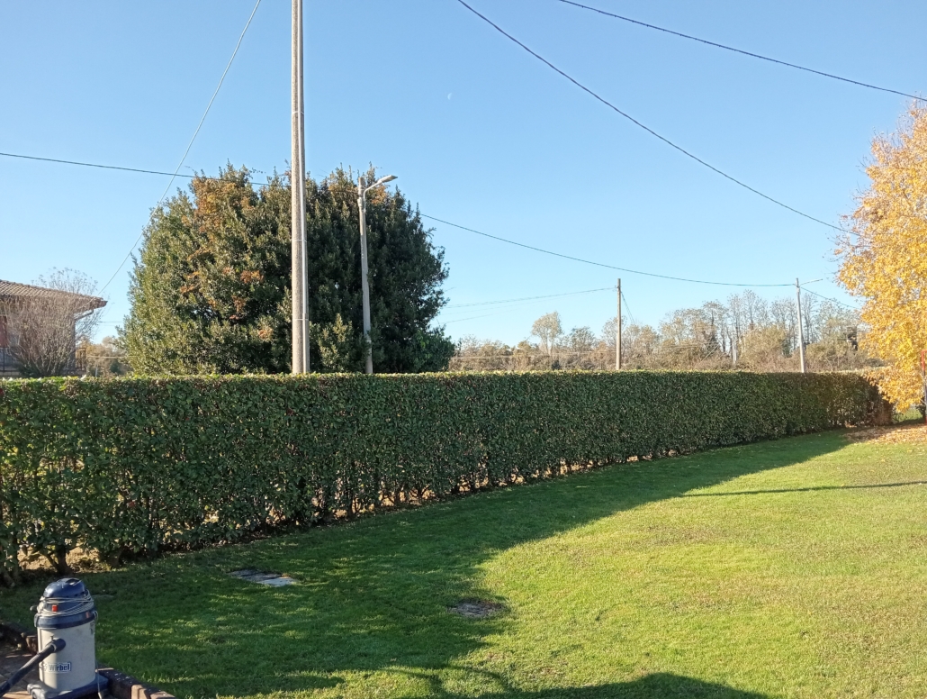 taglio siepi in provincia di Padova e Venezia, Giardiniere Andrea Guglielmo