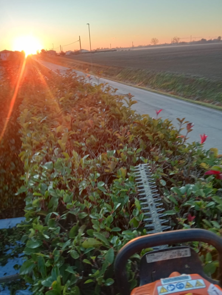 taglio siepi in provincia di Padova e Venezia, Giardiniere Andrea Guglielmo