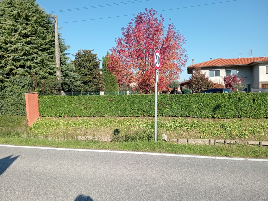 taglio siepi in provincia di Padova e Venezia, Giardiniere Andrea Guglielmo