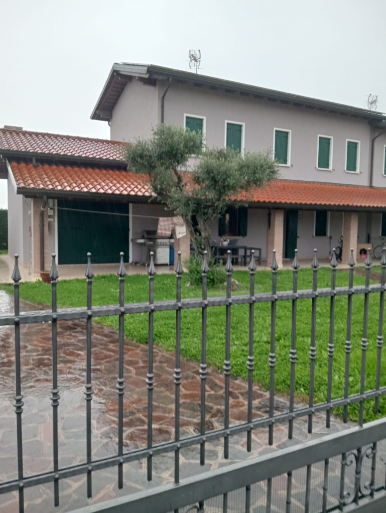 Manutenzione del prato con sfalcio erba a Padova e Venezia